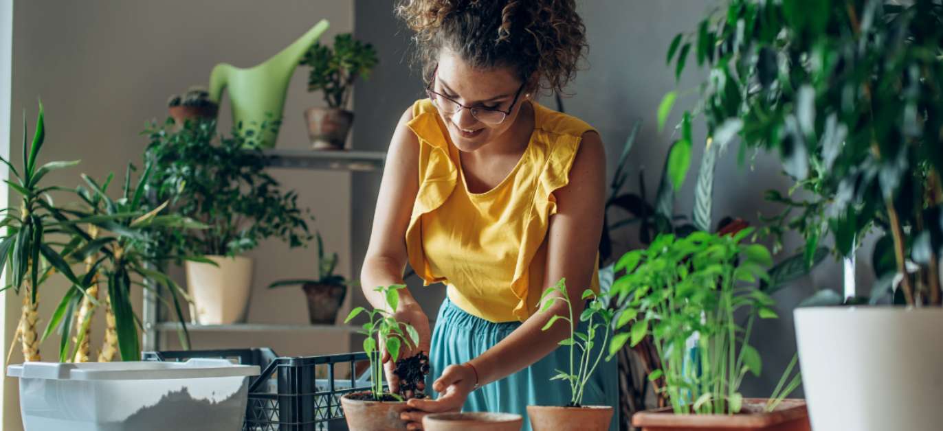 Intensive Outpatient Treatment plants