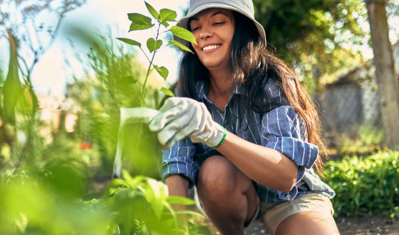 alsana two week intensives garden