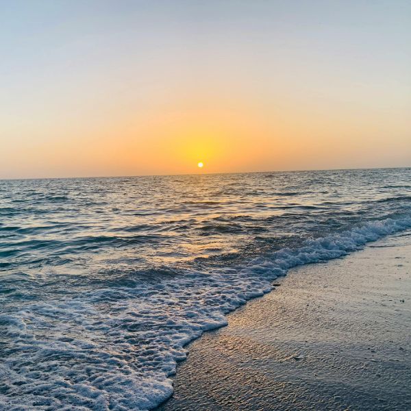 Soul Hearted Eating Disorder Treatment in Florida for Adolescents and Adults